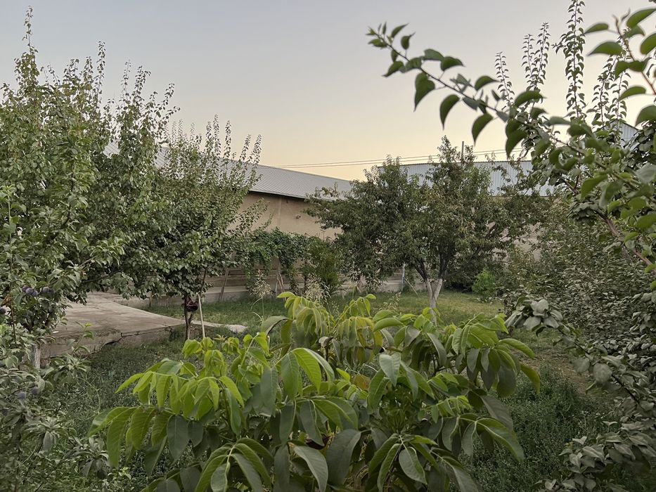 Зудлик билан сотилади! 16 сотихли уй.