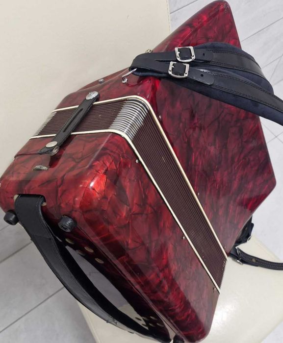 Acordeon Parrot  96 basi roau