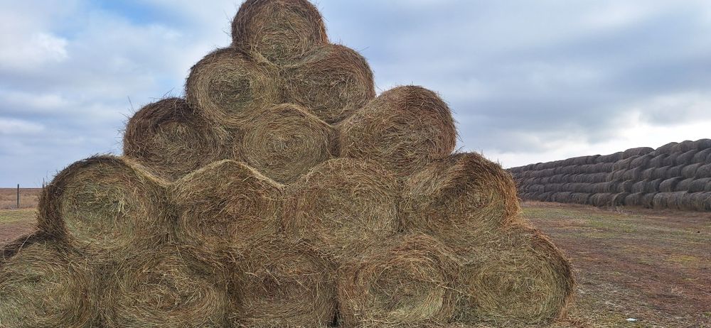 Продам сено разнотравие.