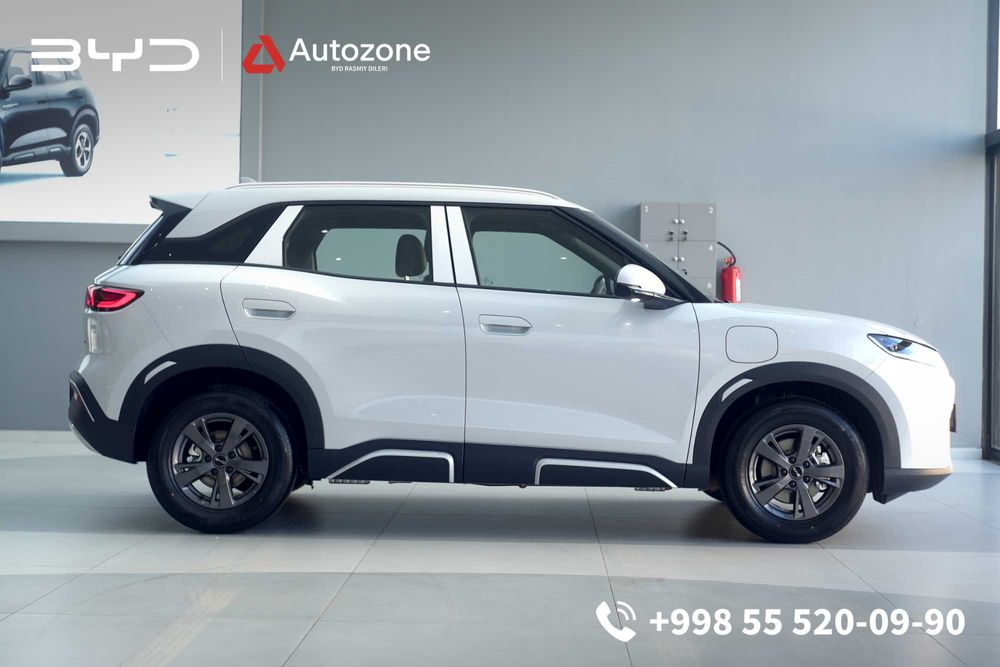 BYD Yuan Up dm-i  AUTOZONE