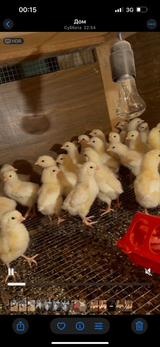 Адлер бплапаны сатылады