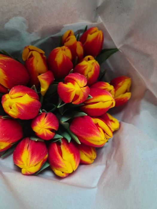 Продам голландские тюльпаны