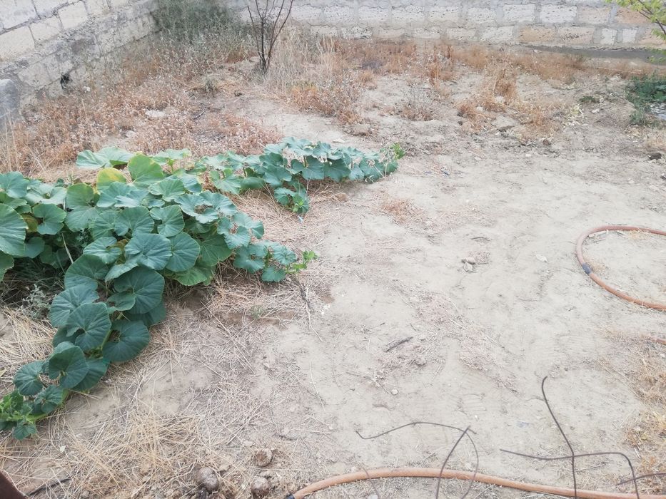 Шетпеден времянка сатам