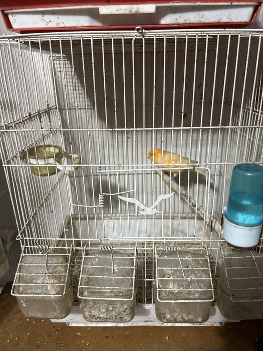 Есть доставка по городу шымкент