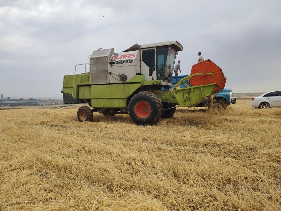 Class Dominator 130