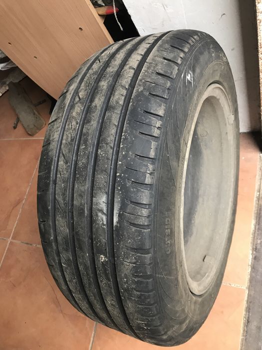 Шина лётные