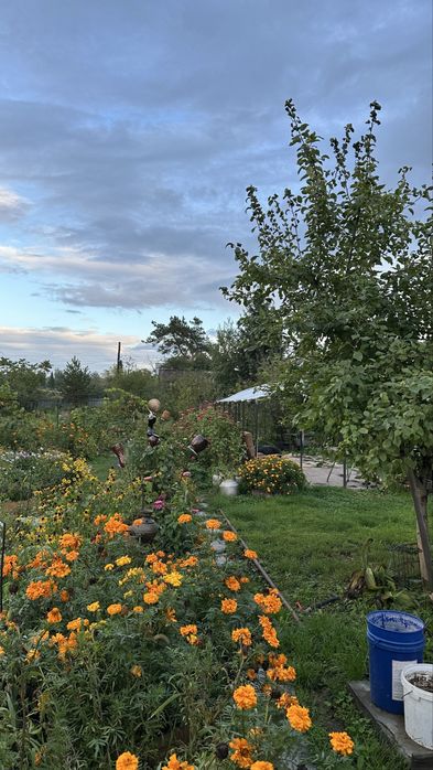 Продам любимую дачу