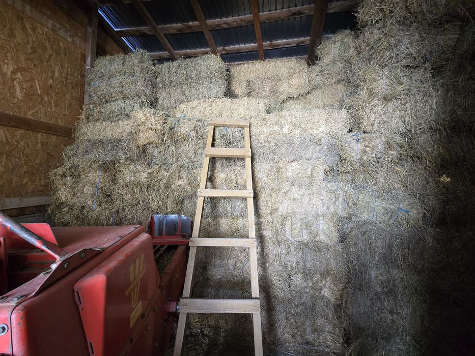 Baloți lucerna, calitate foarte buna