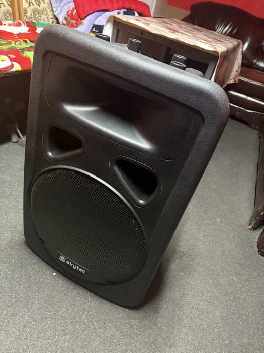 1100 lei usor neg boxa Skytec