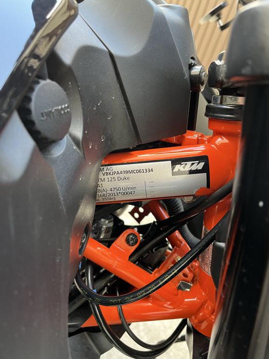 KTM DUKE 125 2021 (ktm,yamaha,yzf,gsx-r)