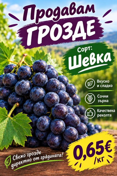 Продавам грозде Шевка