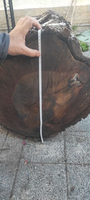 Продавам орех - дървесина / дървен материал