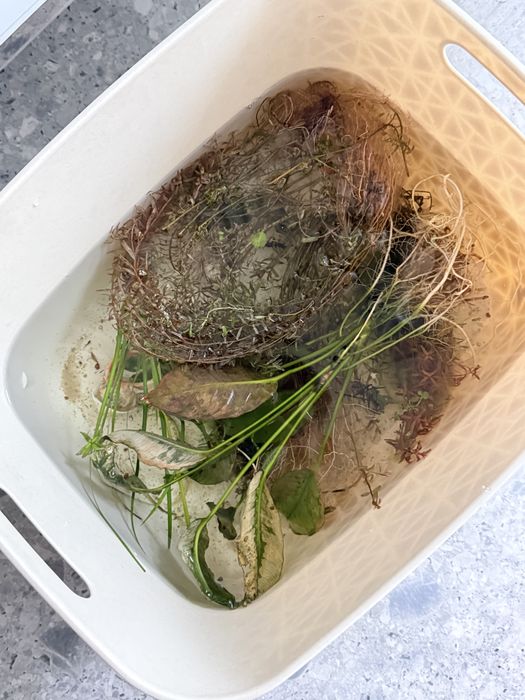 Acvariu 72 cm lungime