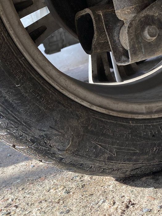 Nexia3 diska balon qishki