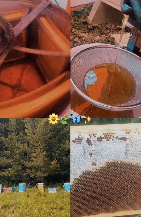 Продам свежий мёд 2025года