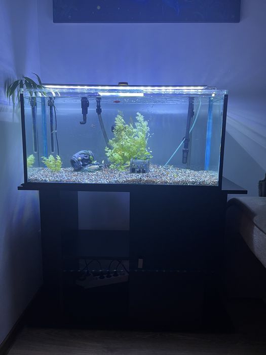 Poveste acvatica de vanzare