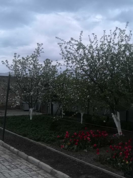 Продам срочно дом