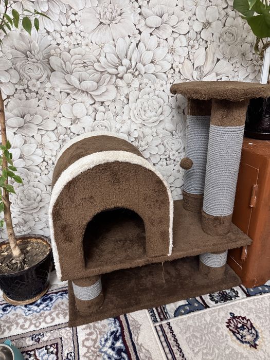 Домик для кошек и котов в хорошем состоянии!