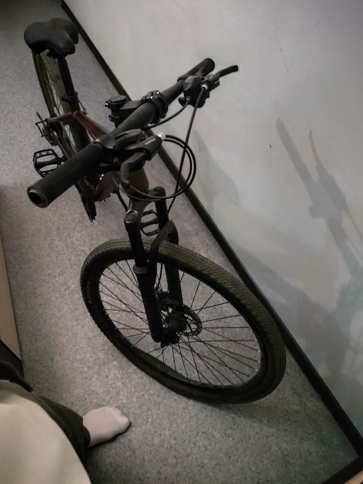 Джесси Джейн порно актриса