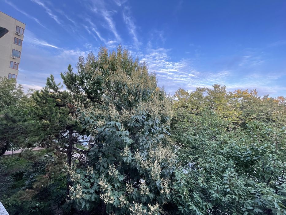 Apartament 4/5 camere decomandat Constanta ,parc