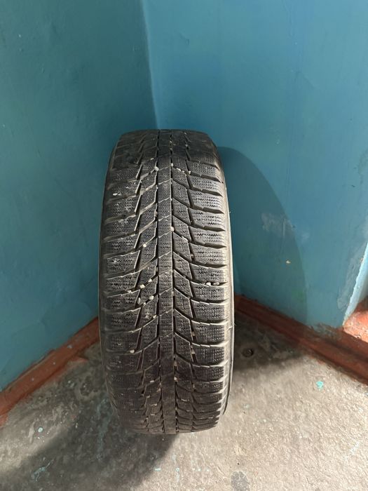 Зимние Шины Triangle