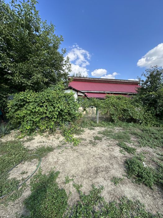 Vând proprietate – Casă și teren 1.300 mp în Crivăț, județul Călărași