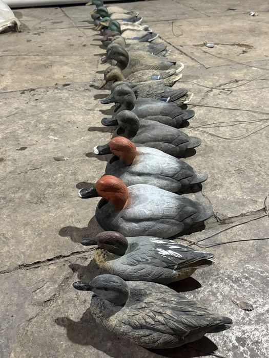 Продам утинные чучела