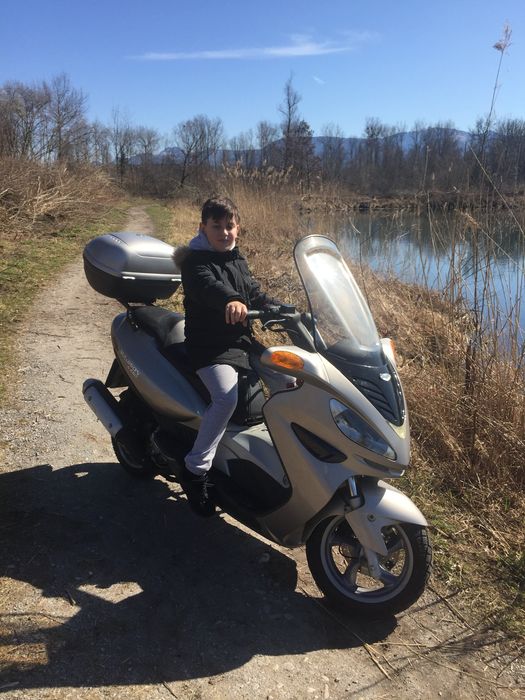 Scooter Malaguti Medison 250ccm  19PS, 2001