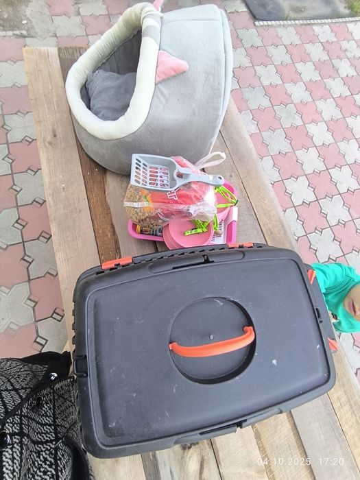 Животные , лоток ножницы