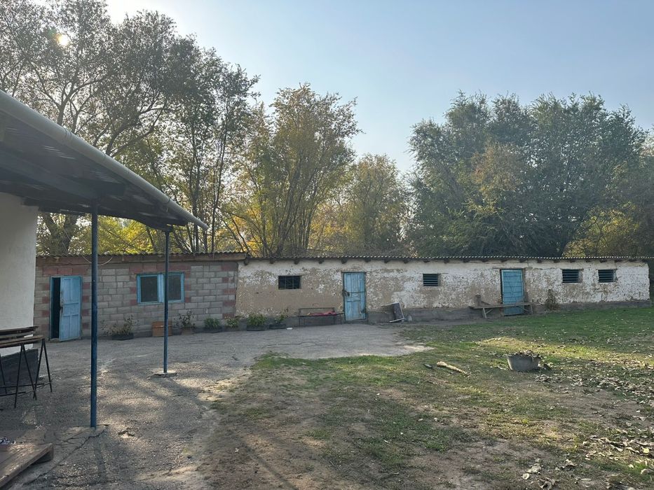 Дом в селе для скотоводства