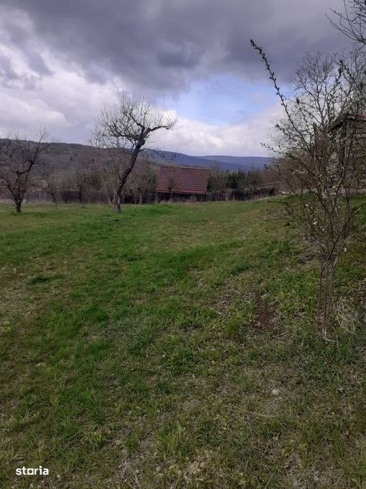 Teren intravilan 6.000 mp, Suceagu – zona linistita, aproape de