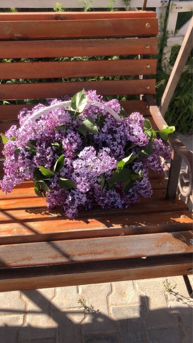 Ароматная сирень свежая