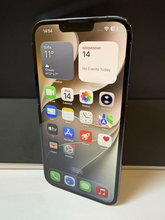 iPhone 13 Pro Max 256GB