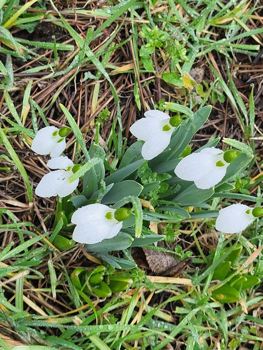 Продава се Къща в София, в.з. Врана - Герман - 70 кв.м за 875 €/кв.м - Снимка #6