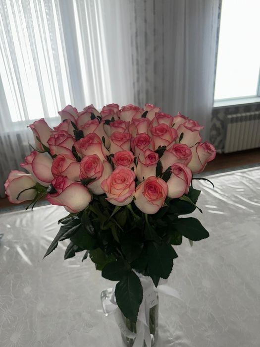 Продам свежи роза