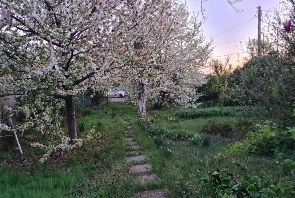 Teren de vanzare Otopeni