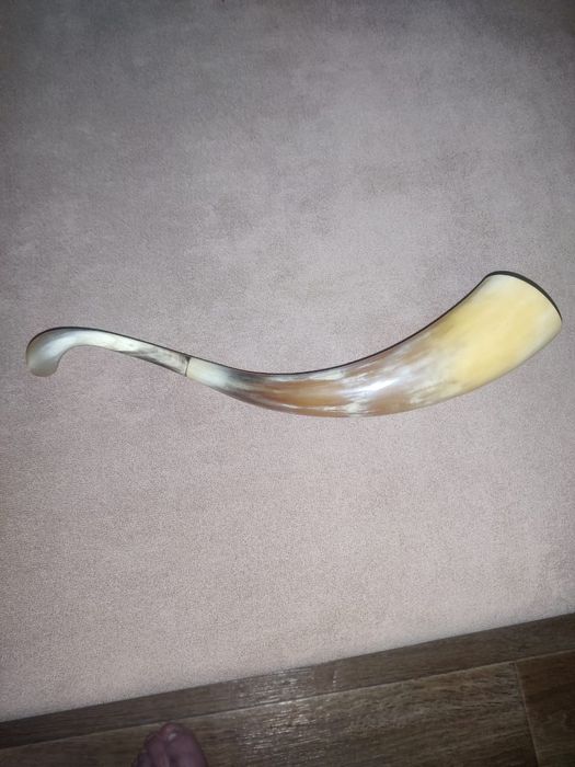 Продам рог для вина