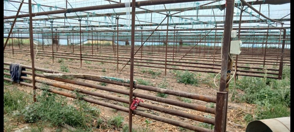 Продается теплица