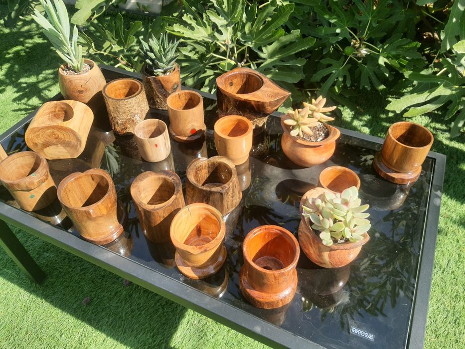 Marturii nunta si ghivece handmade cu plante suculente