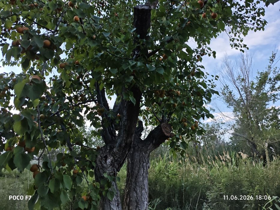 46 соток , Продаётся дом 3 комнат,,,