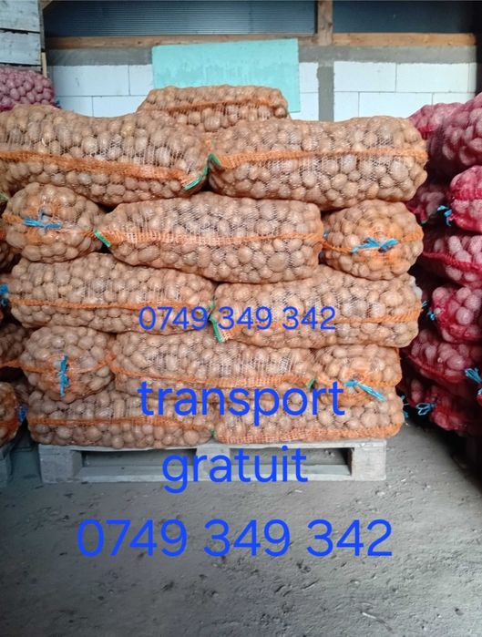 Cartofi de sămânță