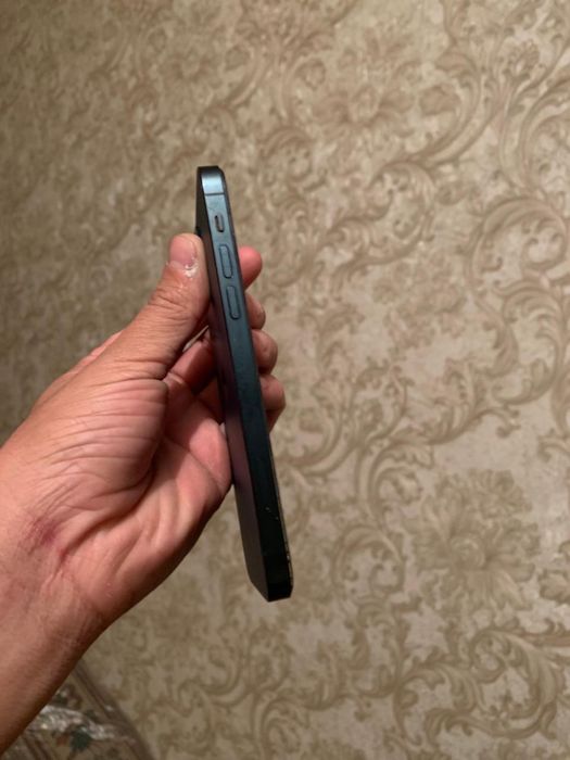 iPhone    12.  Про