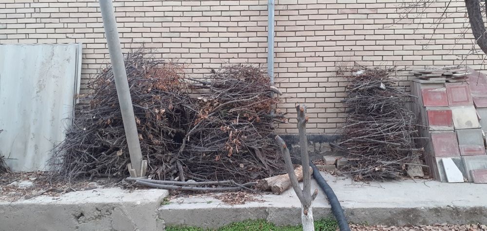 Qishki o'tinlar sotaman