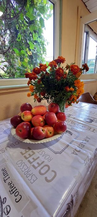 Продам дачу 7.5 соток район телецентра