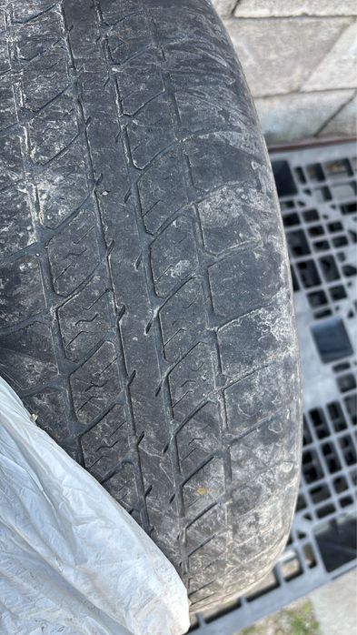 Шина BELSHINA kia rio