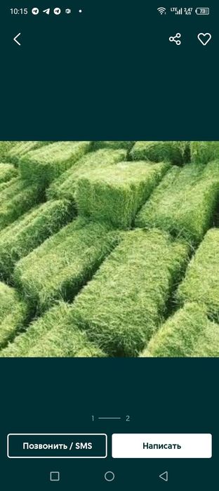 Беда бугдой сомон бугдойни сомони