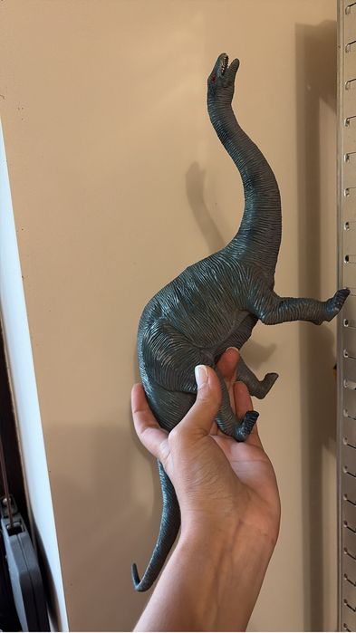 Dino dineniune medie