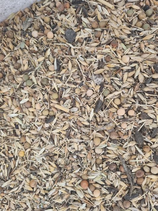 Продам зерноотходы