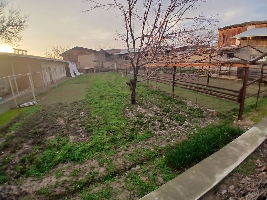 Yer sotiladi 5 sotix