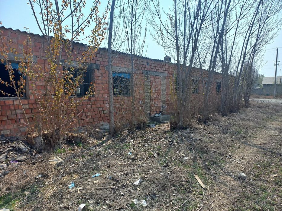 Нотурар жой. Молхона